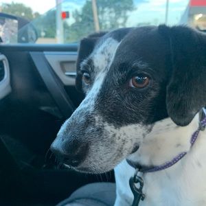 Meet your Posher, Hannah